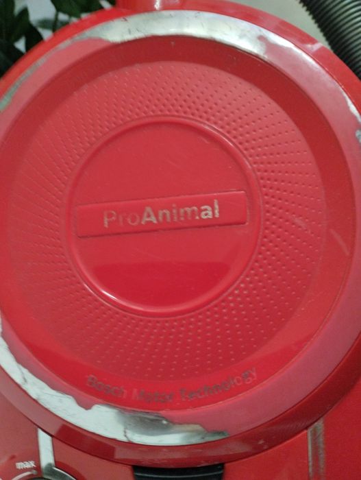 Aspirador pro animal XL bosch