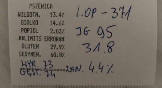 Pszenica konsumpcyjna 2025