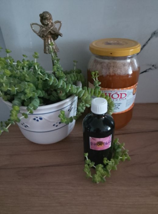 Propolis naturalny,pszczeli 100 ml. miód