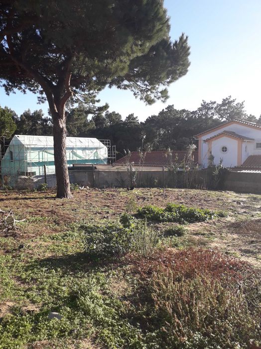 Terreno premium Sintra