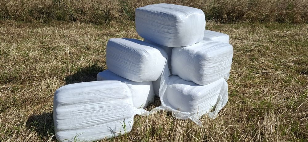 Fardos de feno silagem de azevém