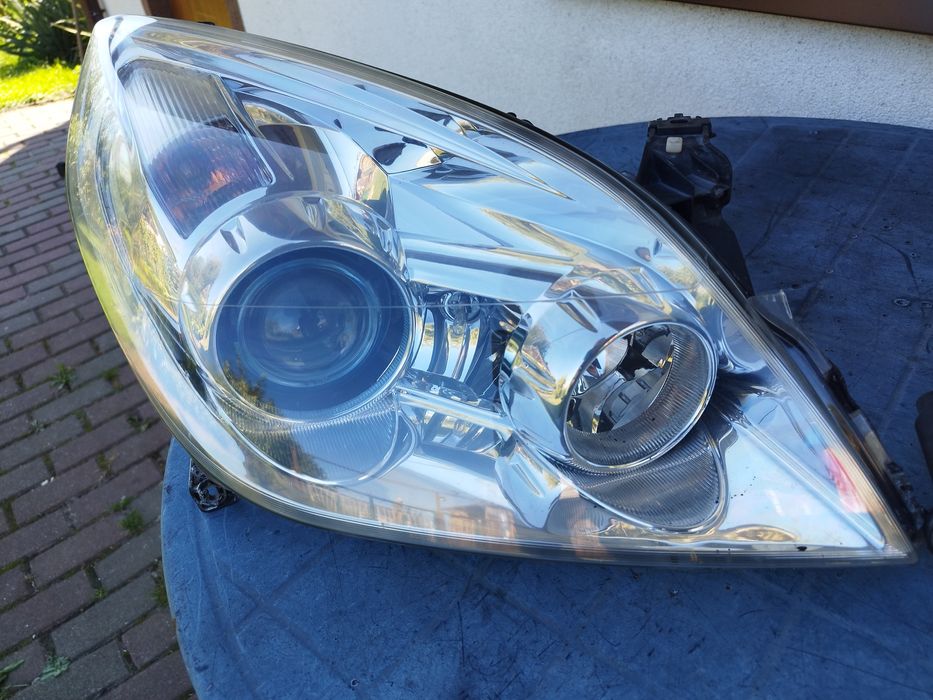 Xenon bixenon Vectra signum