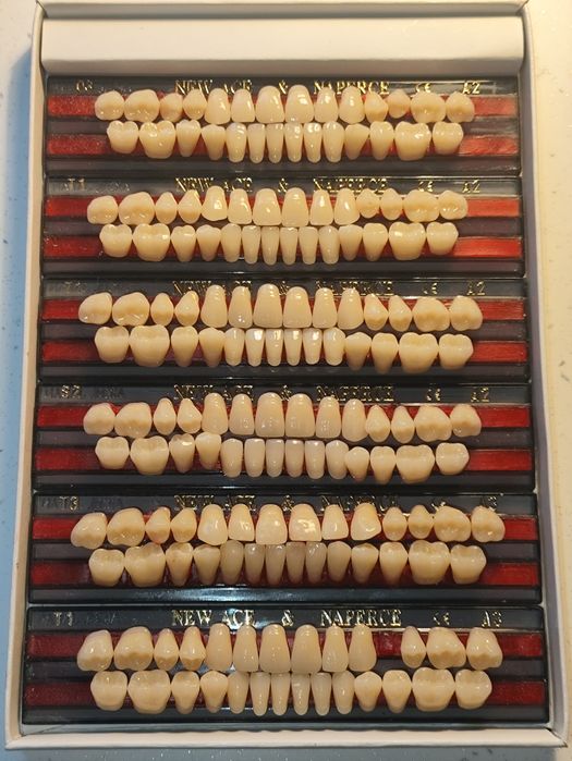 Акрилові зуби Yamahachi Dental (Японія)