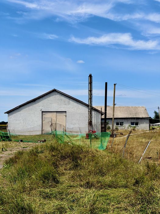 Аренда производственной базы 961 м² | с. Гречаное | 30 км от Днепра - Вид 2