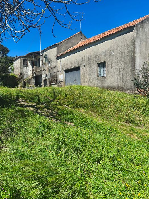 Quinta com casa pra reconstruir
