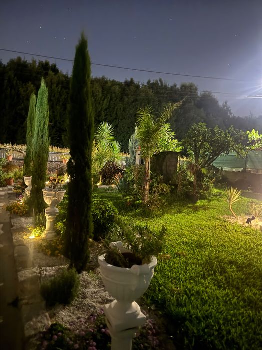 Paisagismo/Jardinagem