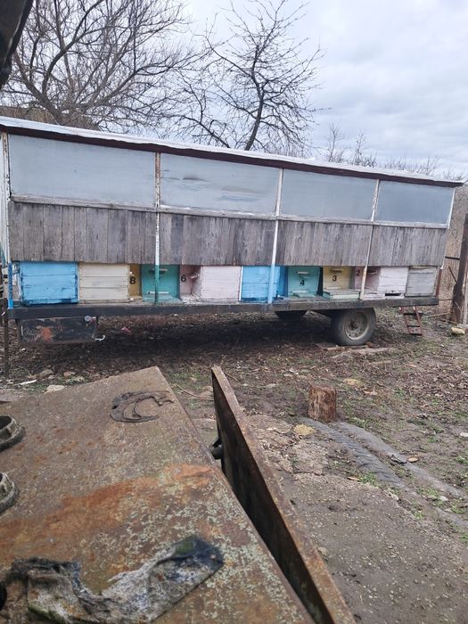 Продам пасіку пересувну