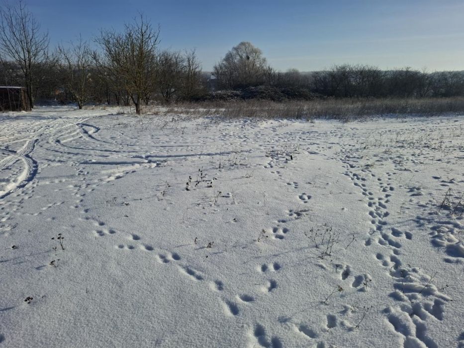 Продаж земельної ділянки під салівництво