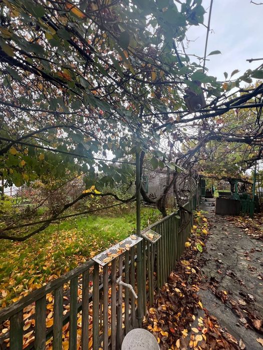 В продаже небольшой дом в с. Александровка, пригород Черноморска.