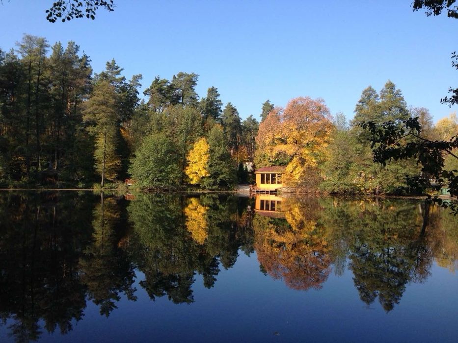 Ексклюзив! Ділянка землі Пуща-Водиця