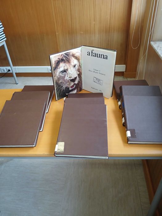 10 publicações de livros técnicos das Publicações Alfa.