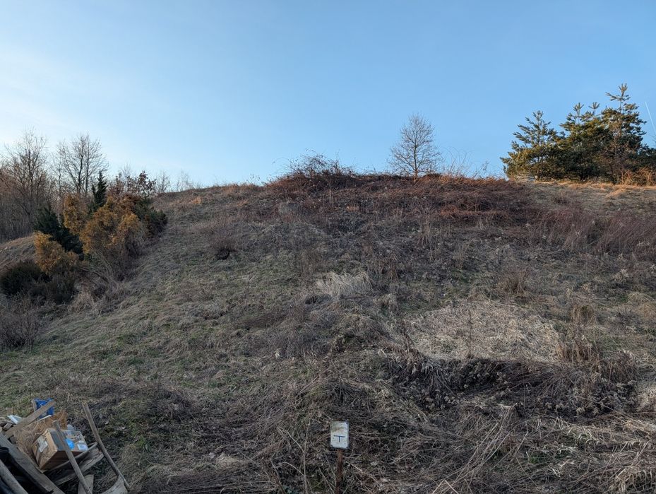 Oddam ziemię za darmo