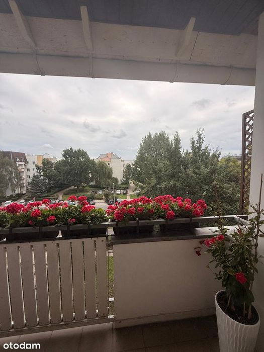 Mieszkanie – Toruń, Kozackie Góry, Koniuchy - Widok 3