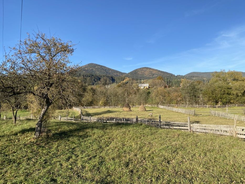 Чотири акти по 10 соток. 70 метрів до Черемоша. Продаж від 20 соток