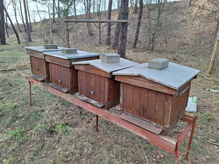 Sprzedam ule bez pszczół + akcesoria