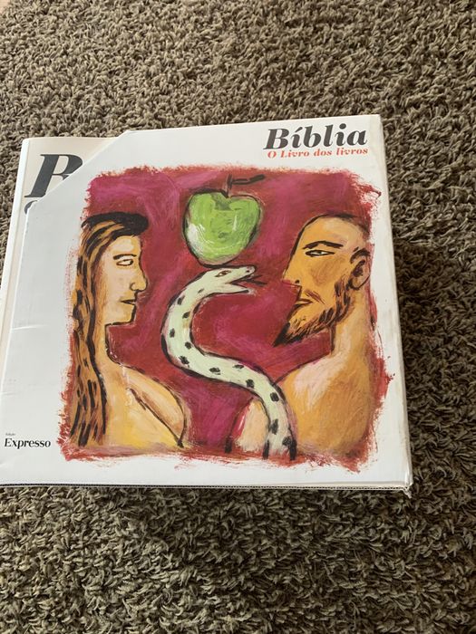 Bíblia, o Livro dos livros.
