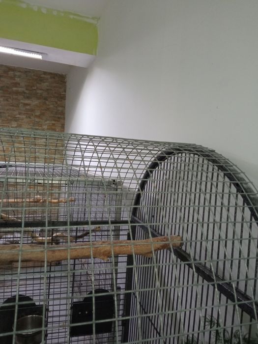 Klatka dla ptaków !!!