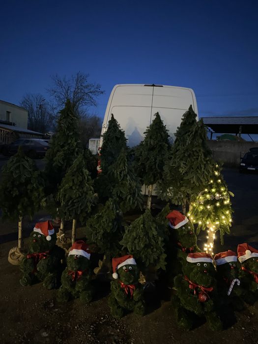 Ozdoby świąteczne z jodły – misie, choinki, stroiki