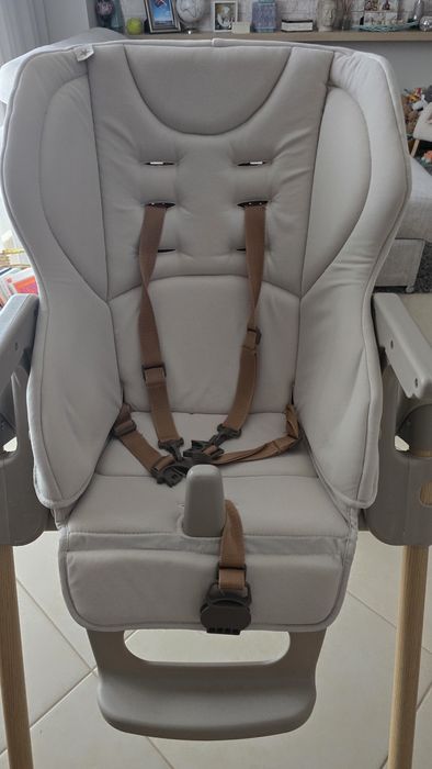 Cadeira evolutiva Jane Mila