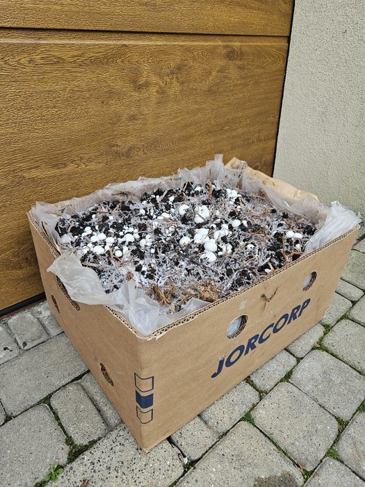 Podłoże Grzybnia Pieczarki. karton ok 18 KG