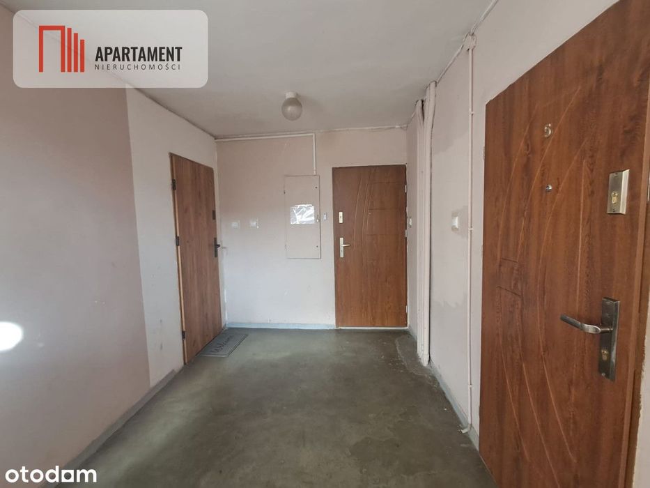 Bezczynszowe!Remont 2024! 2 pokoje+ogród 500m2z KW