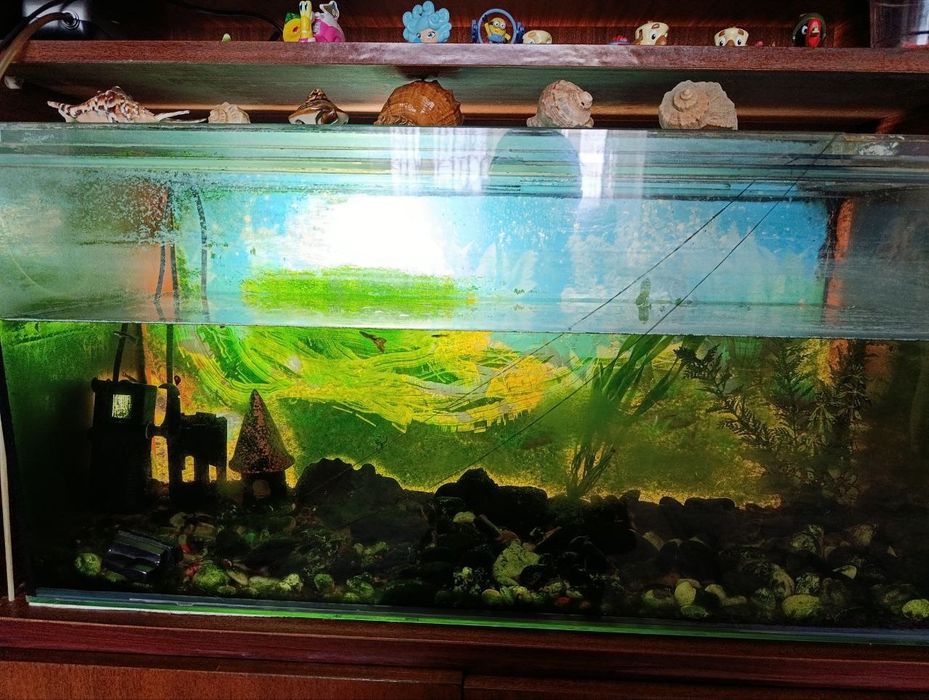 Акваріум 80 літрів