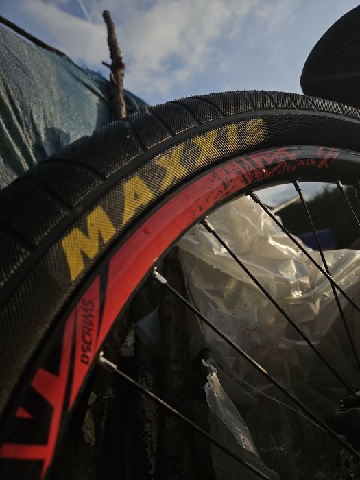 Rower Kellys Whip 50 2020