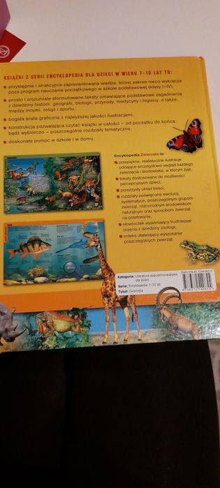 Zwierzęta encyklopedia dla dzieci