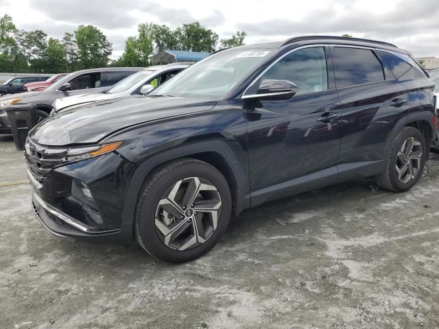 business-site-gallery-photo