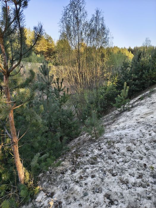 Kopalnia z koncesją, dołek, staw - Widok 2