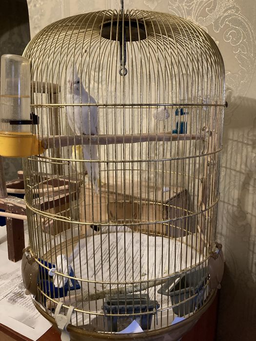 Продам клетку попугаев.