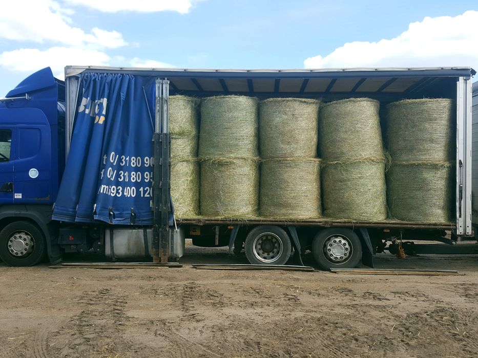 Siano dla koni z pierwszego pokosu 2025 z dowozem