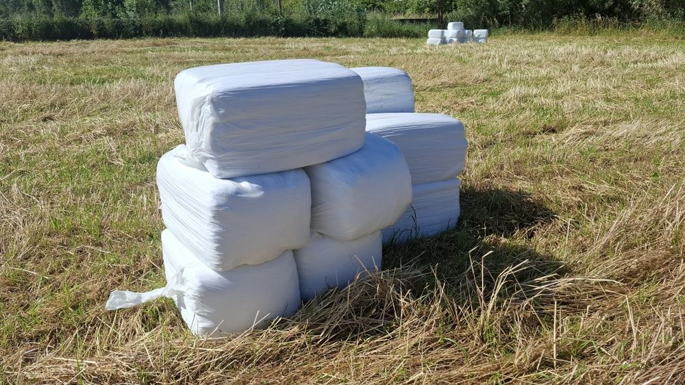 Fardos de feno silagem de azevém