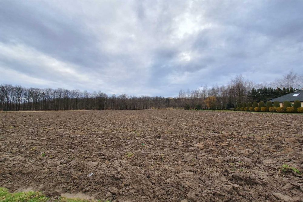DZIAŁKA BUDOWLANA 1100 M2, DWORY DRUGIE, OKOLICE OŚWIĘCIMIA - Widok 3