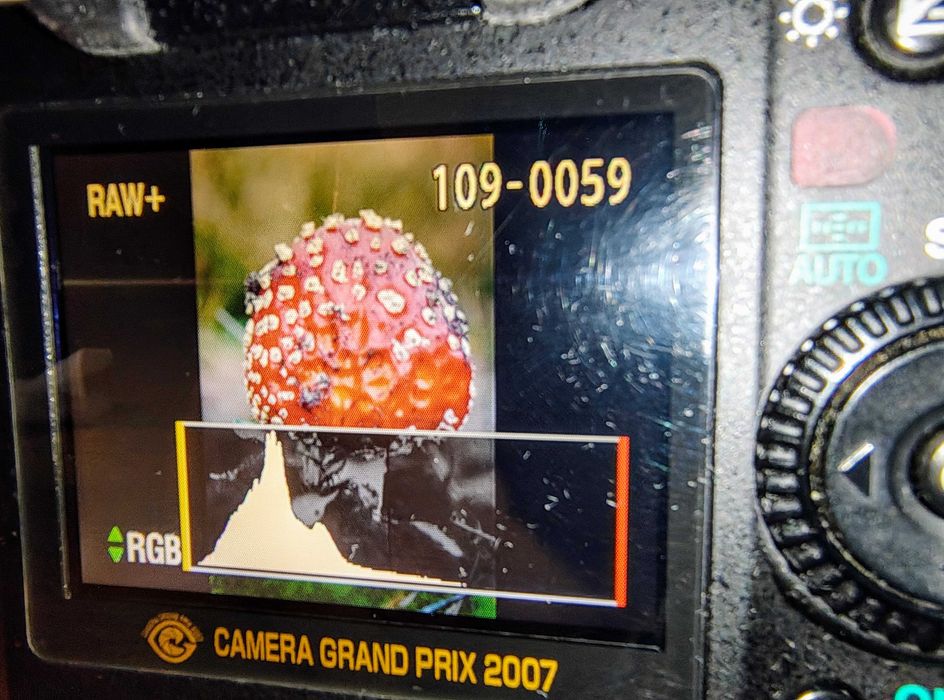 Pentax K10D z gripem w wersji limitowanej Grand Prix 2007 jak nowy