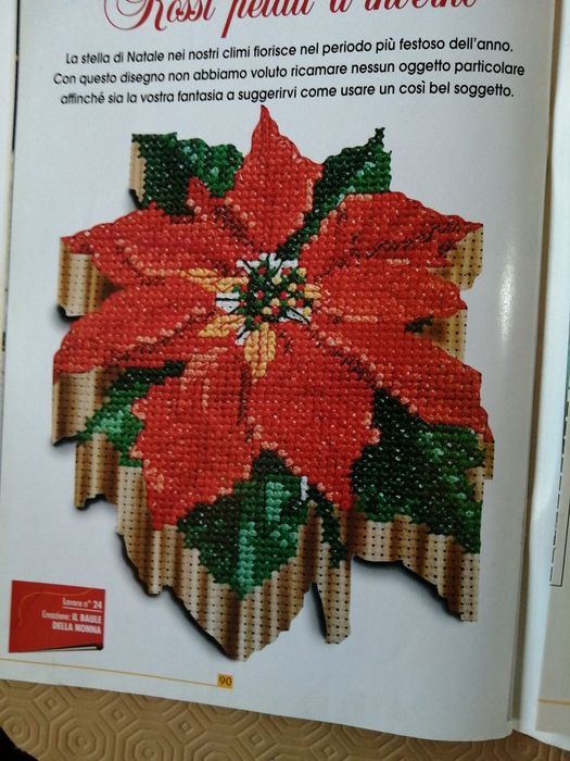 Revista de ponto cruz