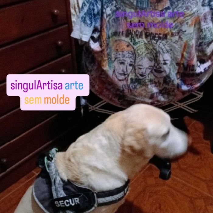 Petsitter Almada466739633167411200