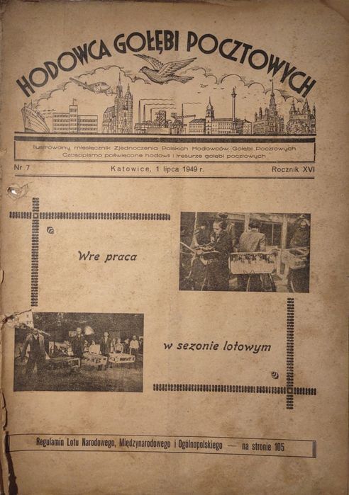Hodowca gołębi pocztowych 7 1949