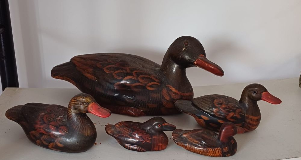 Patos decorativos