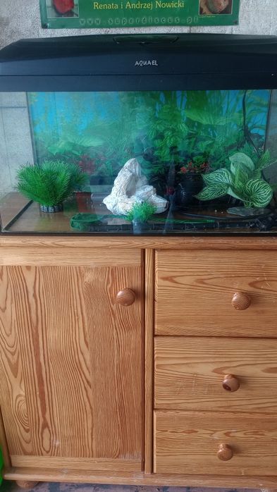Sprzedam akwarium 60l