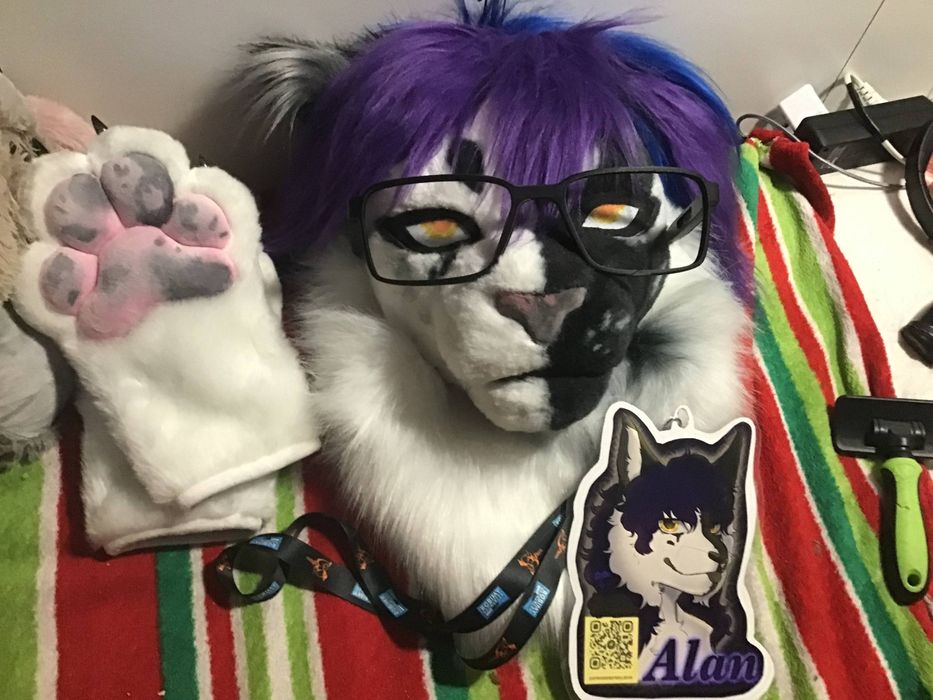Fursuit Kot Cat Furry