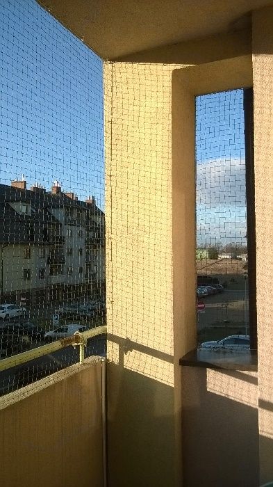 Siatka zabezpieczająca balkon , okno dla kota