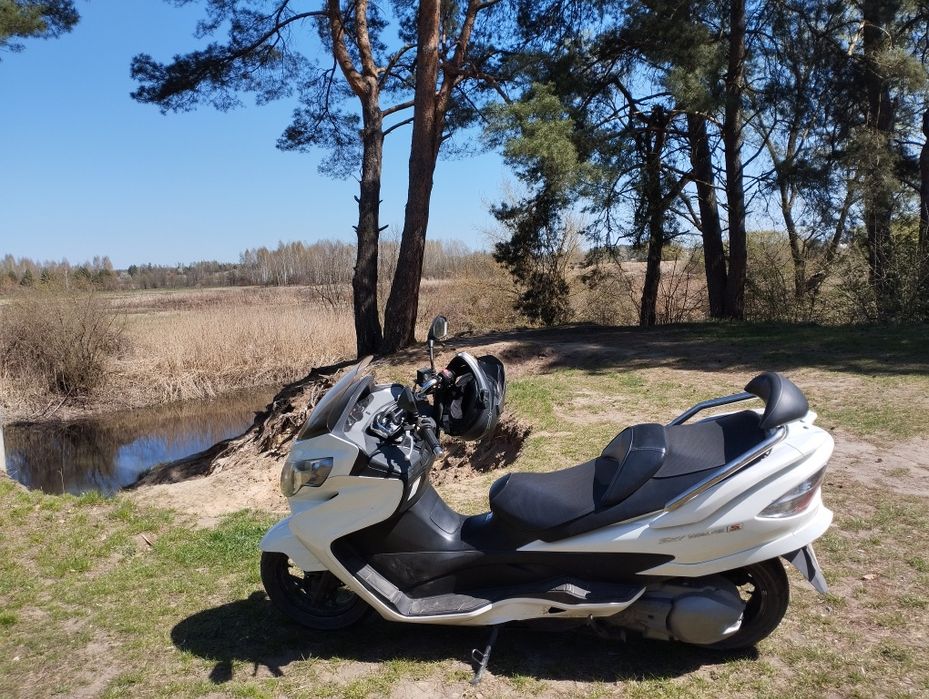 Suzuki Skyway 250 2008р