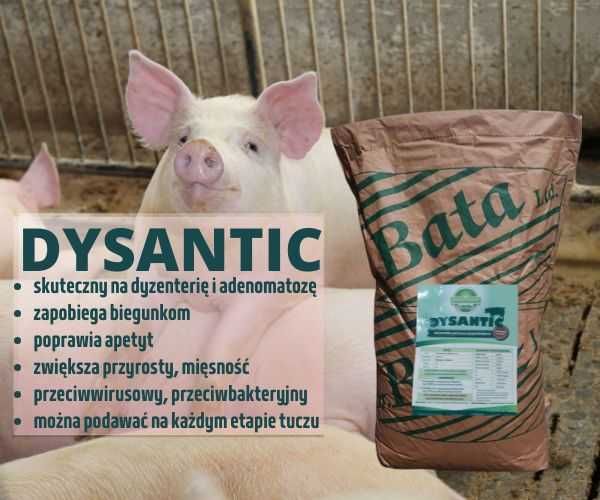 DYSANTIC 25kg - stop biegunkom u trzody chlewnej_BEZ KARENCJI
