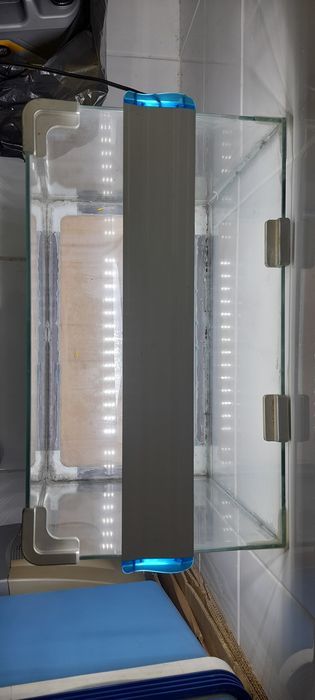 Aquário de 17Ltr com iluminação