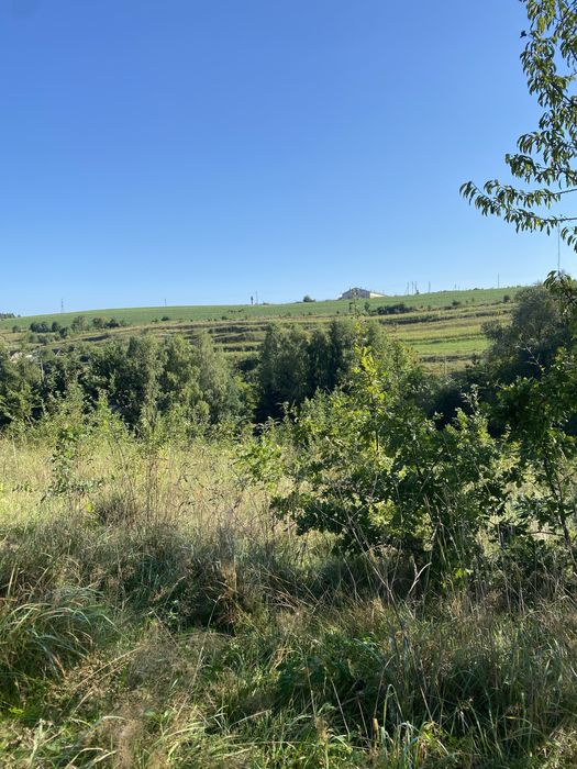 Продаж земельна ділянка 95 соток (від власника)