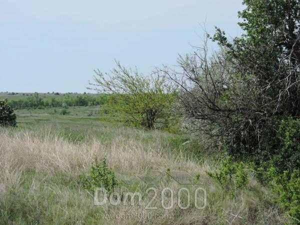 Продаж садиби: 1078 кв.м. будівель, понад 60 га с/г землі
