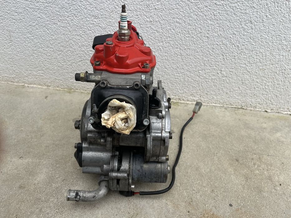 Motor rotax max 125cc completo