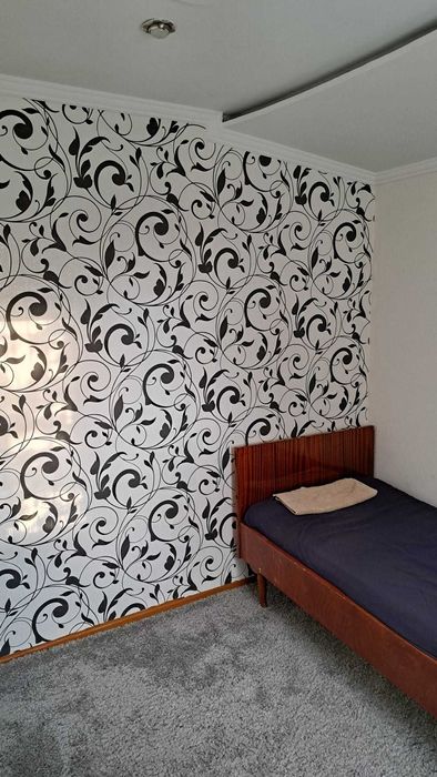 Продам будинок 49 м² з меблями та ділянкою 24 сотки, с. Турка, 12 км від Коломиї