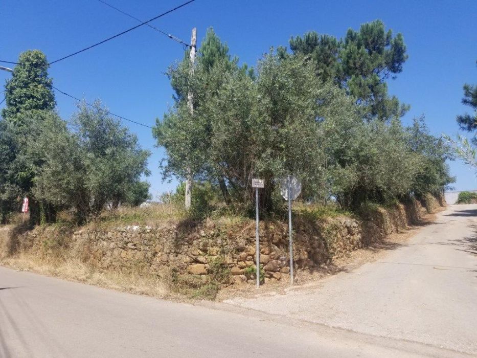 Terreno Urbano para construção 1577m2 Coimbra - VNP Pinheiro